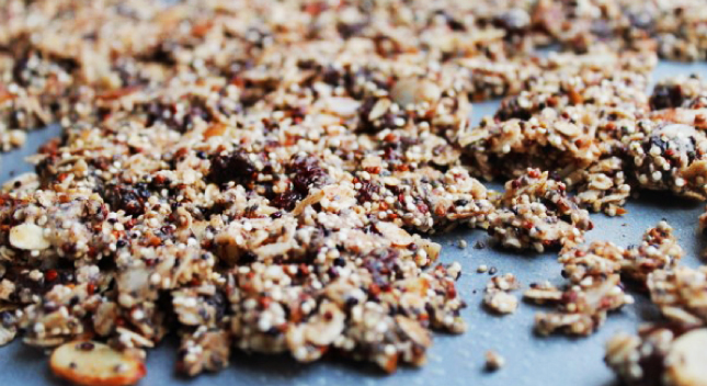 Shiloh Farms Almond-Raisin Quinoa Granola